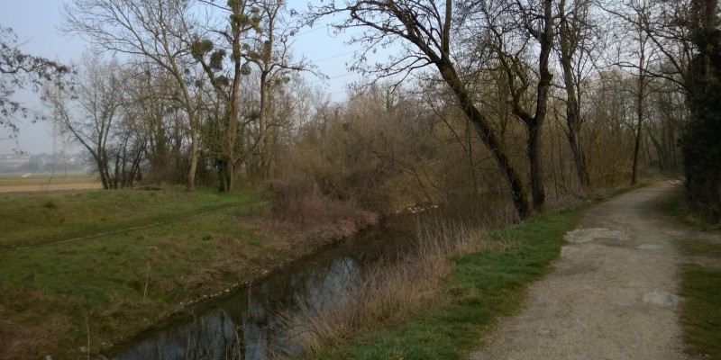 WP_20160321_001