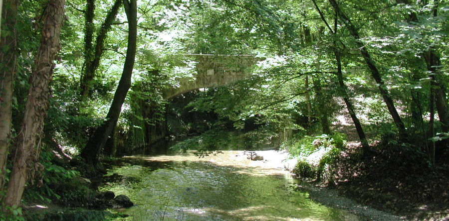 ITU Mobility Picnic 2017